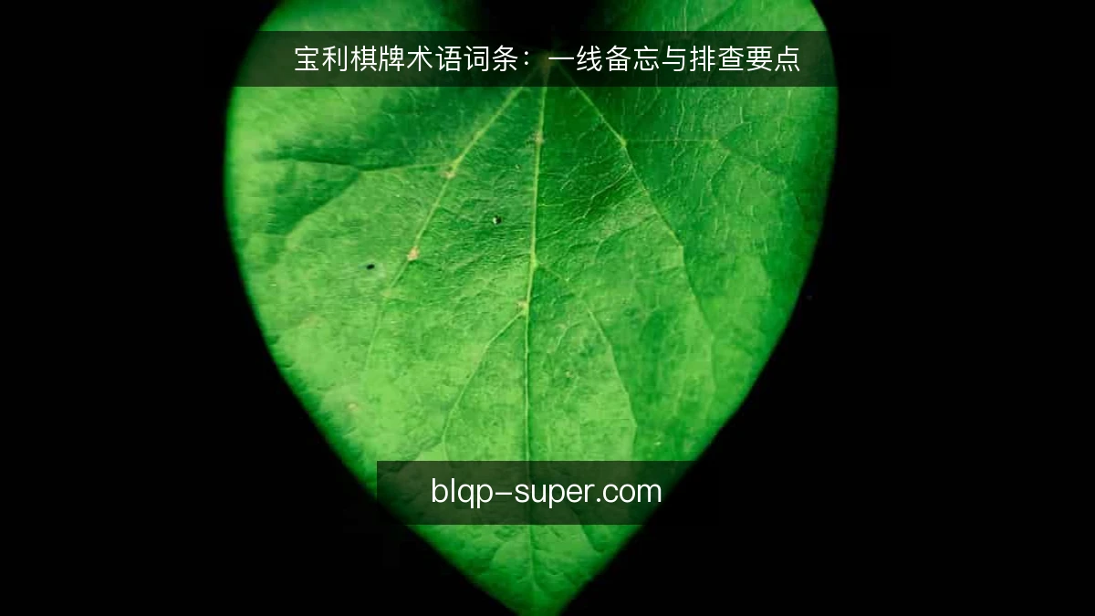 宝利棋牌术语词条：一线备忘与排查要点